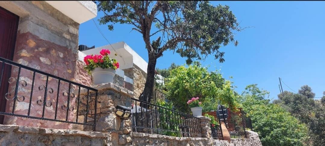 Villa Sarichel Nikithianos المظهر الخارجي الصورة