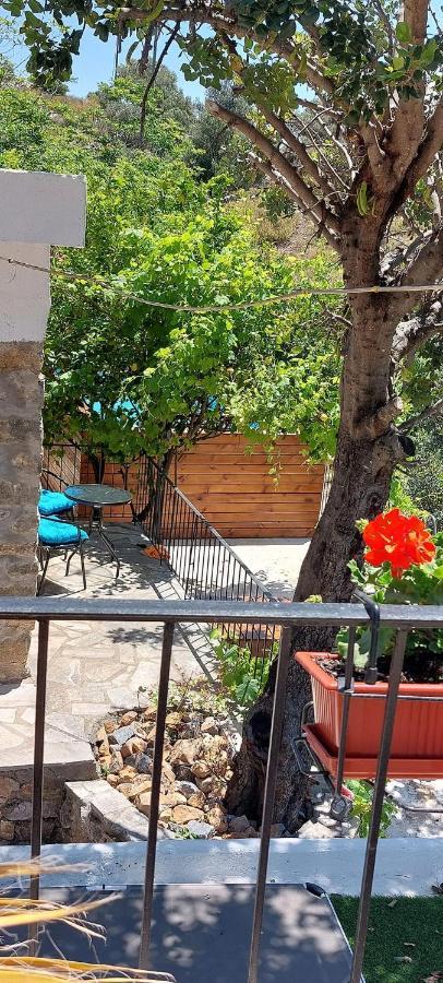 Villa Sarichel Nikithianos المظهر الخارجي الصورة